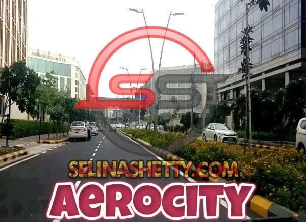 Aerocity Delhi Escorts