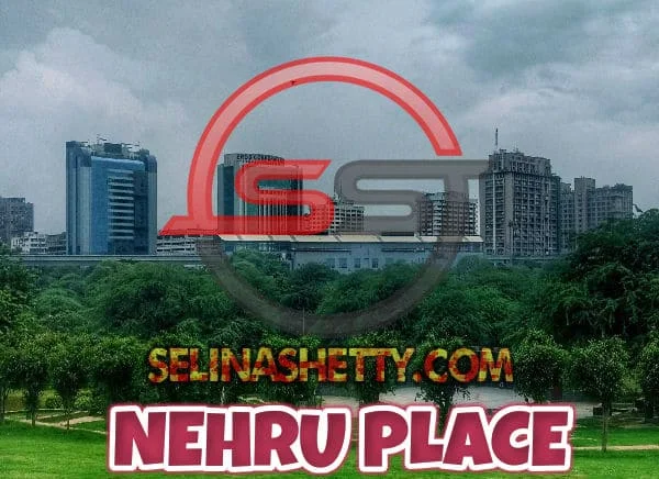 Nehru Place Delhi Escorts