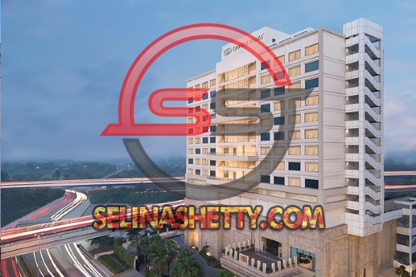 escorts service near crowne plaza hotel mayur vihar new delhi